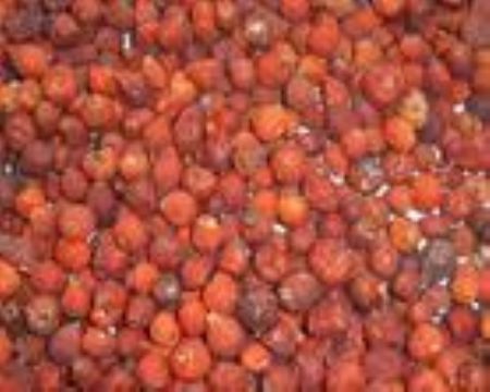 Iqf Wild Rose Hip (Sales6 At Lgberry Dot Com Dot Cn)